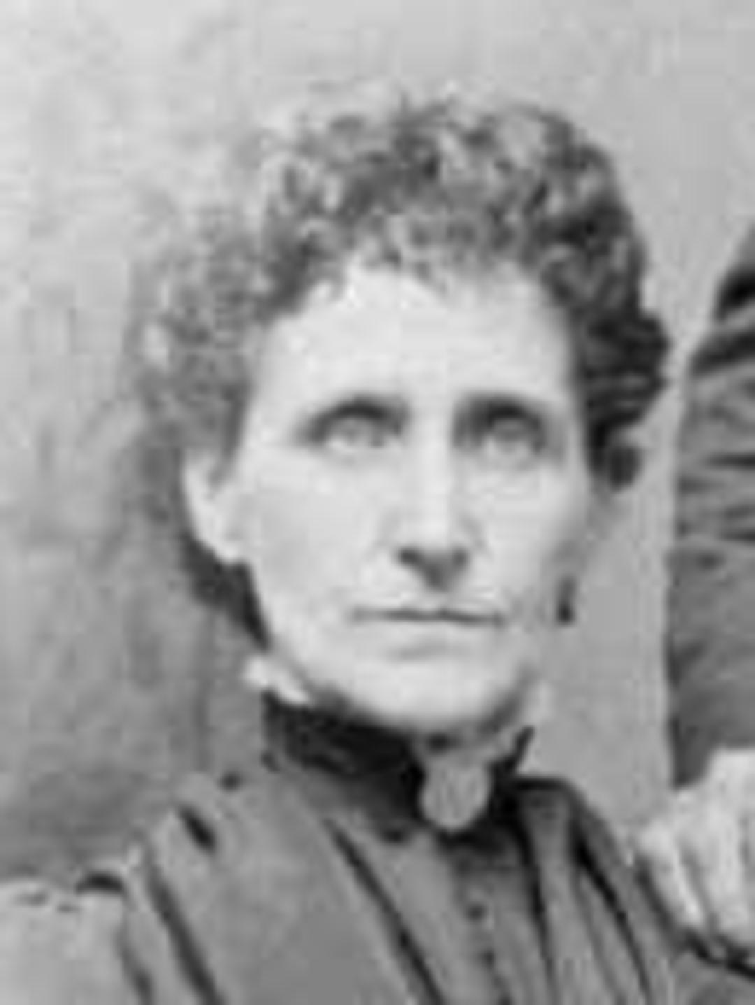 Clara Charlotte Whitehead (1845 - 1907) Profile